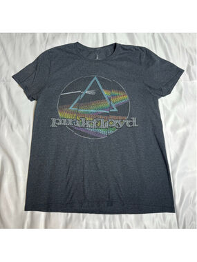Men's Pink Floyd Graphic T-Shirt, Size M, Grey, Multicolor